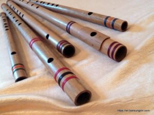 Exploring Different Types of Flutes